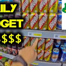 Daily Travel Budget $$$ in BRAZIL – WHAT YOU NEED TO KNOW [ VLOG 8]